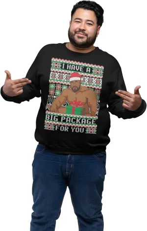 ALLNTRENDS I have a Big package Christmas Meme Sweaters Ugly Xmas Graphic Adult Sweatshirt