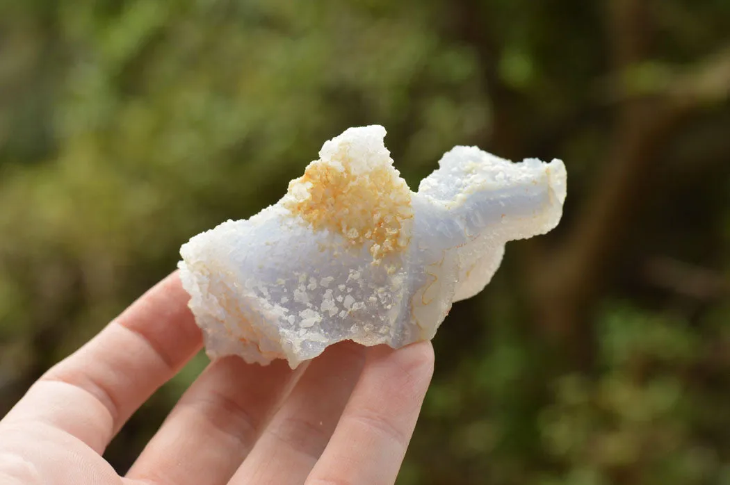 Natural Etched Blue Chalcedony Specimens  x 12 From Nsanje, Malawi