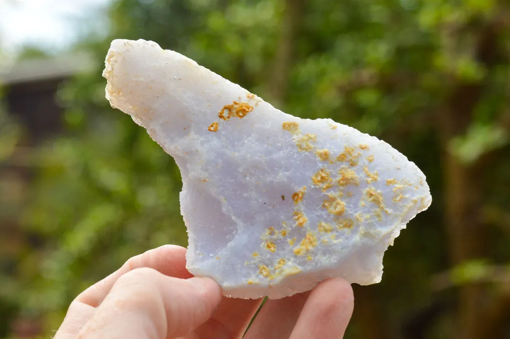 Natural Etched Blue Chalcedony Specimens  x 12 From Nsanje, Malawi