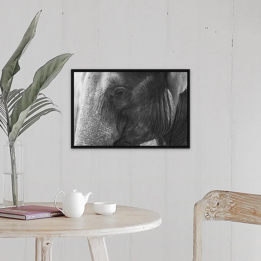 "Black and White Elephant portrait" Black Float Frame Canvas Art