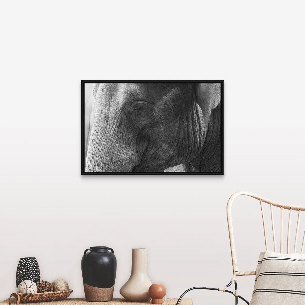 "Black and White Elephant portrait" Black Float Frame Canvas Art