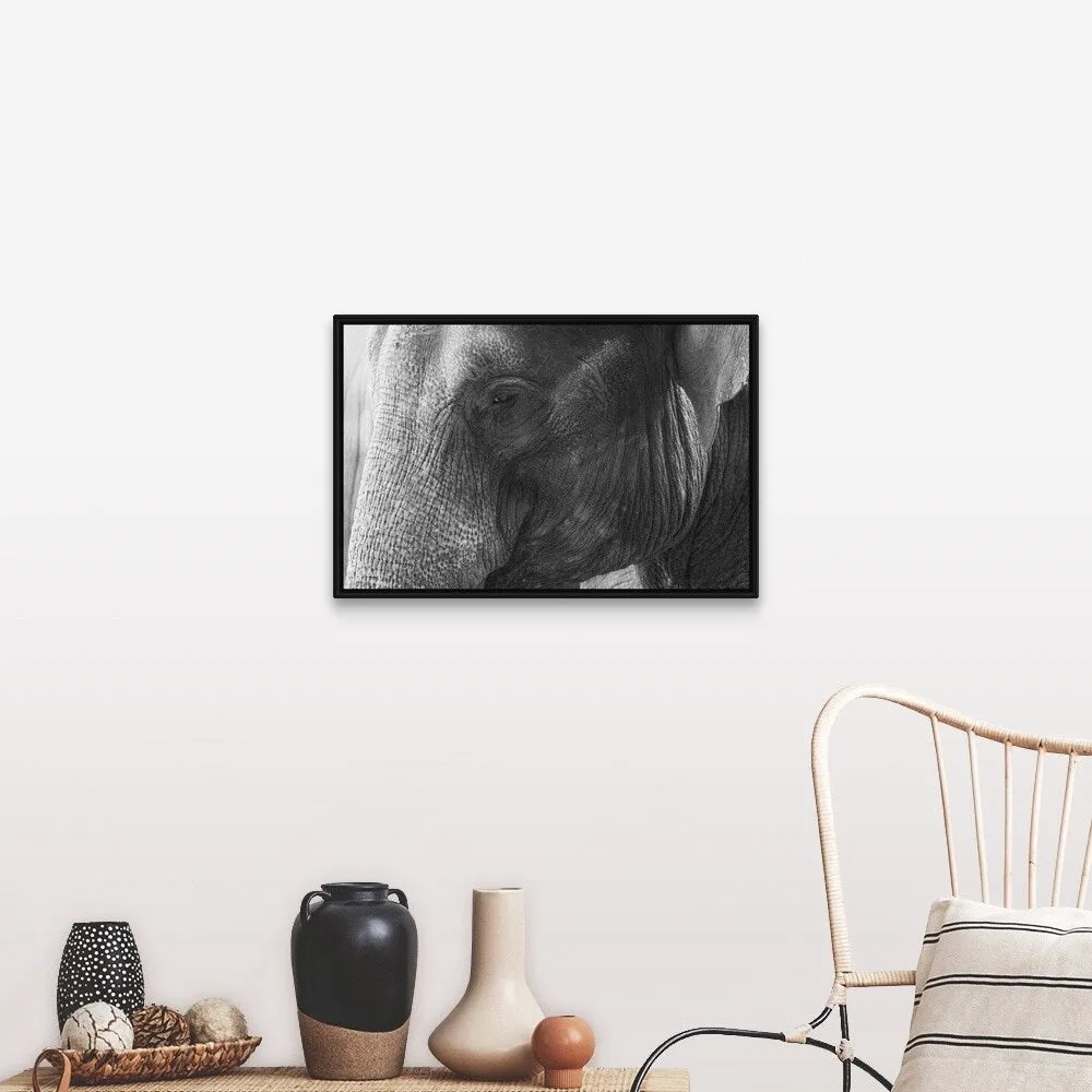"Black and White Elephant portrait" Black Float Frame Canvas Art