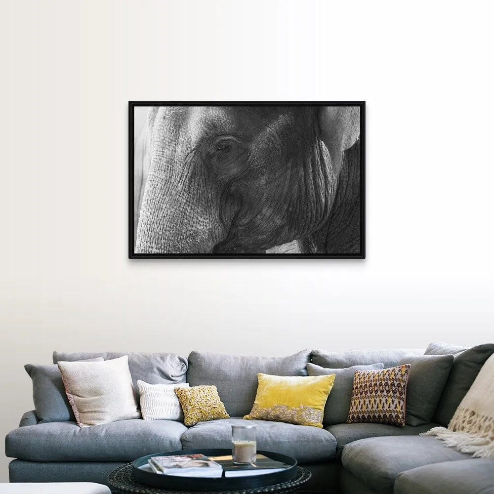 "Black and White Elephant portrait" Black Float Frame Canvas Art