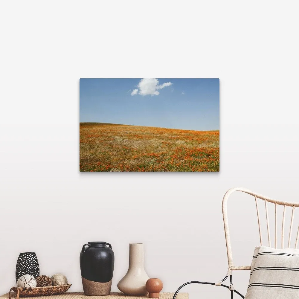 "California, Antelope Valley, California Poppy Reserve" Canvas Wall Art
