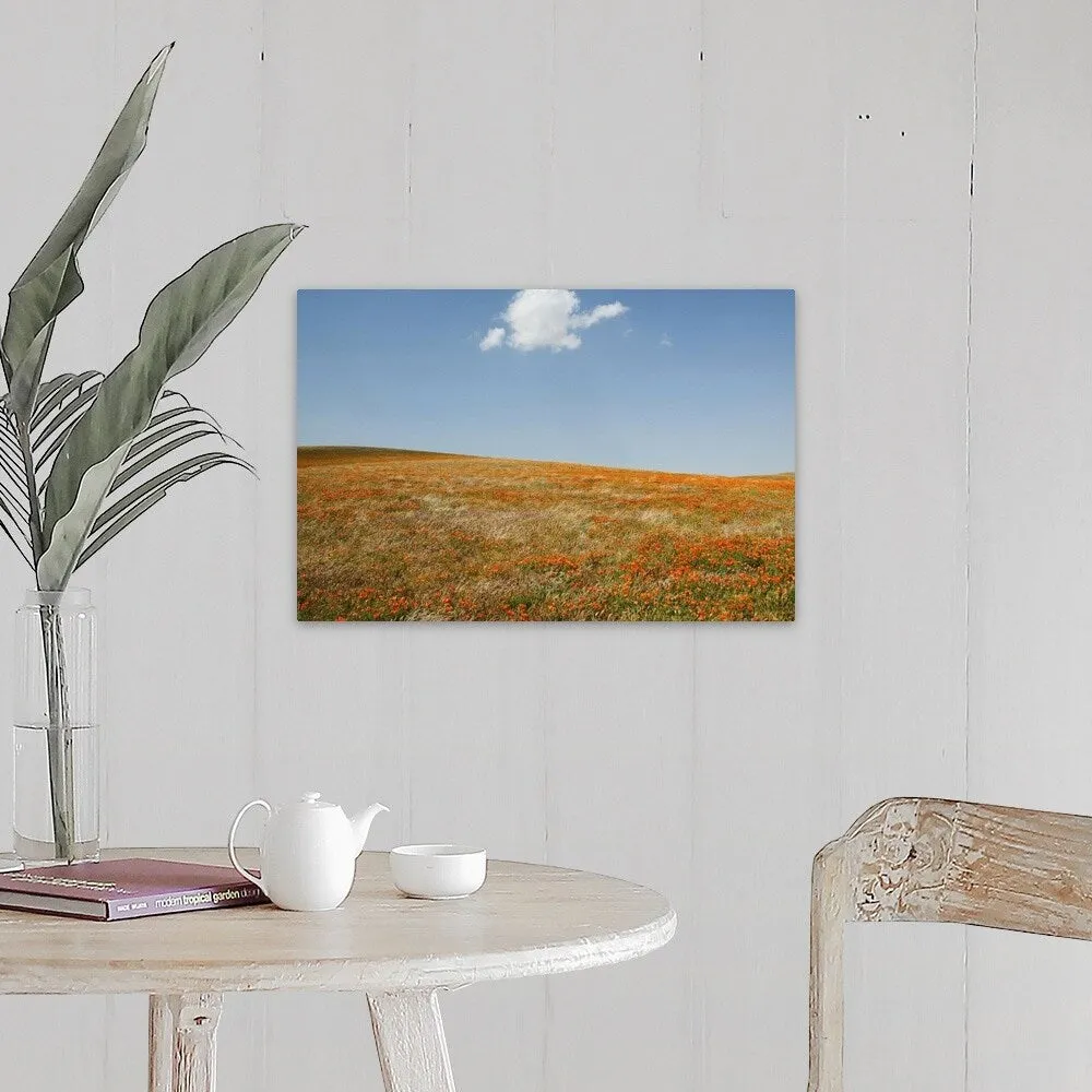 "California, Antelope Valley, California Poppy Reserve" Canvas Wall Art