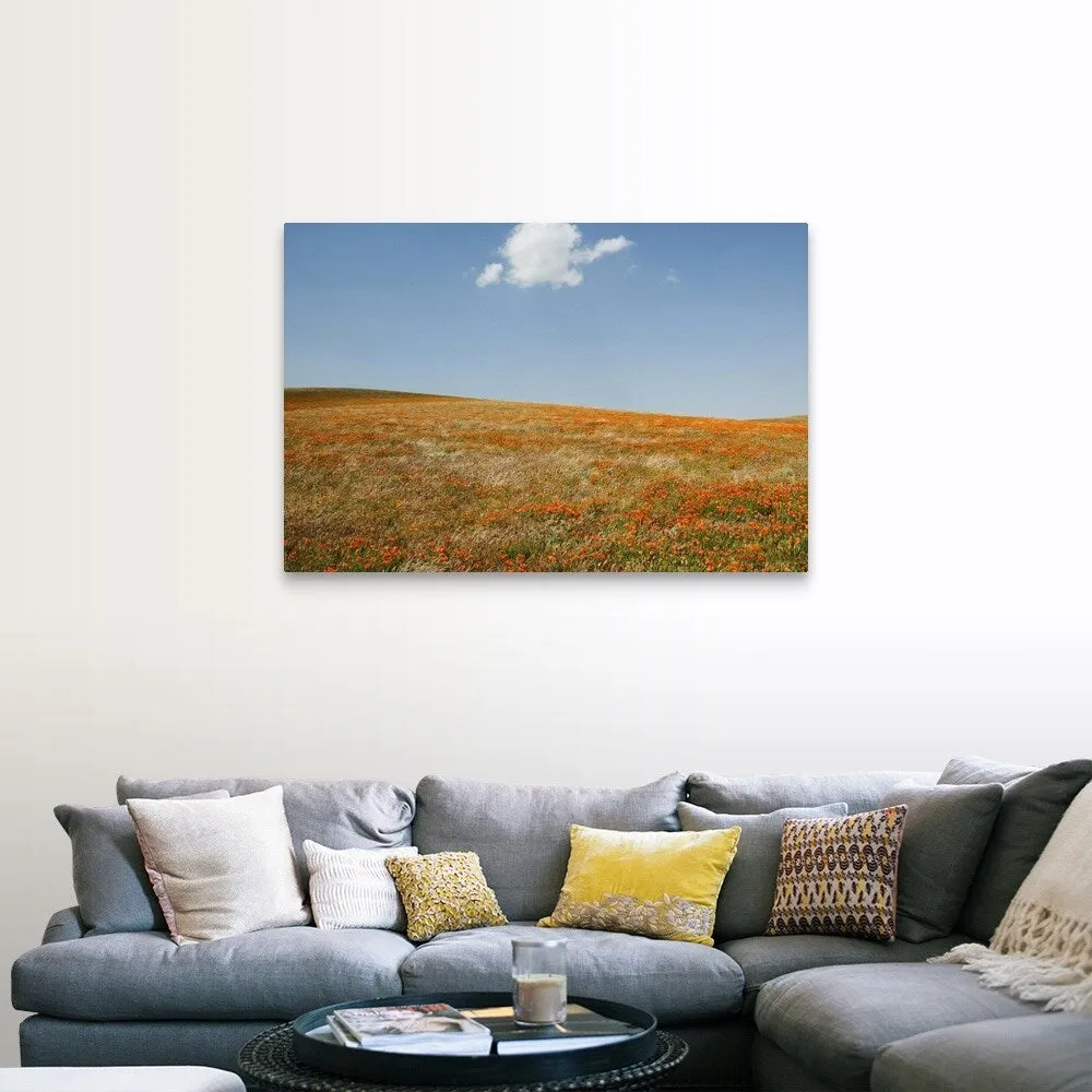 "California, Antelope Valley, California Poppy Reserve" Canvas Wall Art