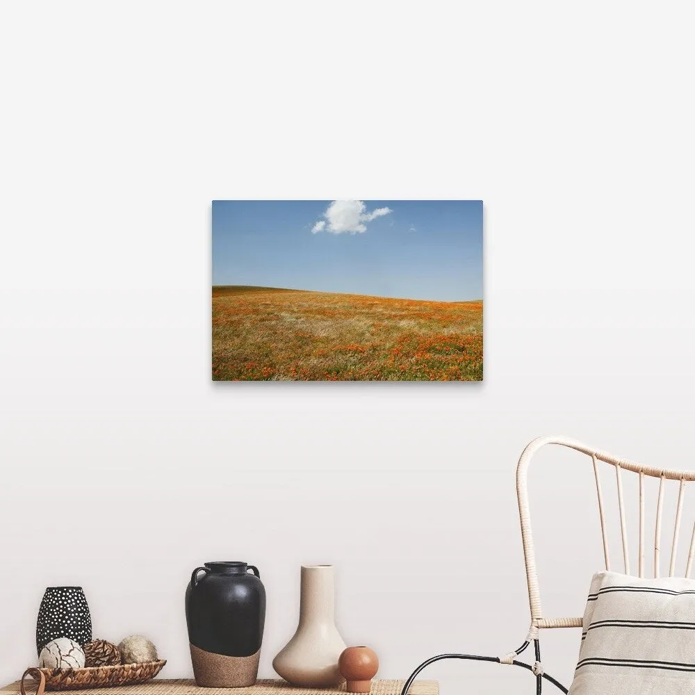 "California, Antelope Valley, California Poppy Reserve" Canvas Wall Art